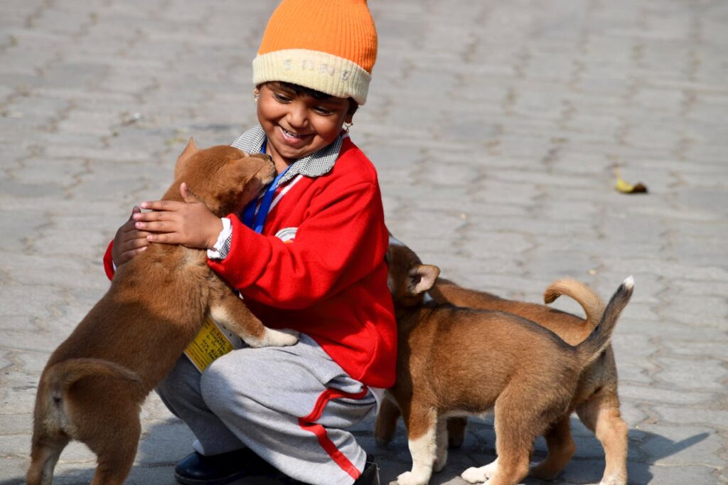 boy playing with pet dogs